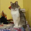 Отзыв от Кристина Макарова